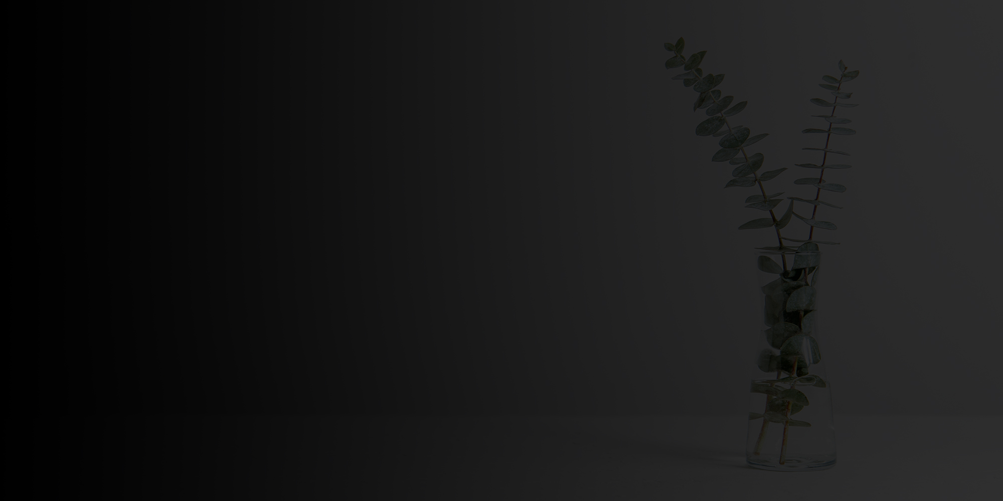 Plant BG